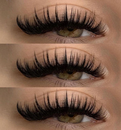 MIOFIA Extension cils 5D